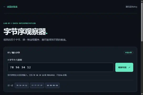 字节序观察器